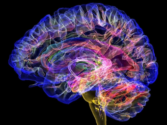 大肉棒日逼的视频大脑植入物有助于严重头部损伤恢复